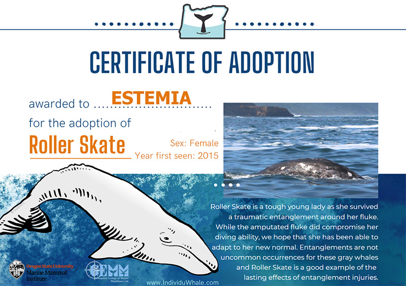 Estemia - adopce velryby Roller Skate (IndividuWhale)