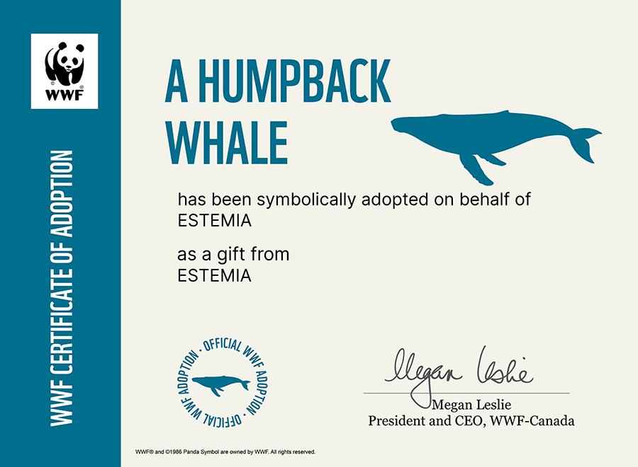 Estemia - adopce velryby Keporkak (WWF)
